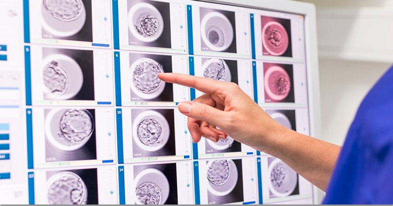 Comment choisir le meilleur embryon à transférer?