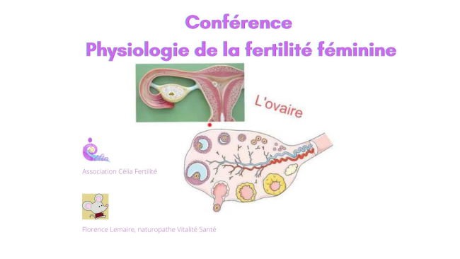 Conférence : physiologie de la fertilité féminine
